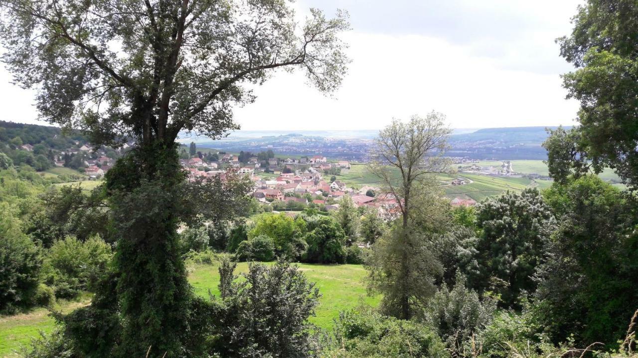 Le Logis Du Vendangeur Vila Champillon Exterior foto